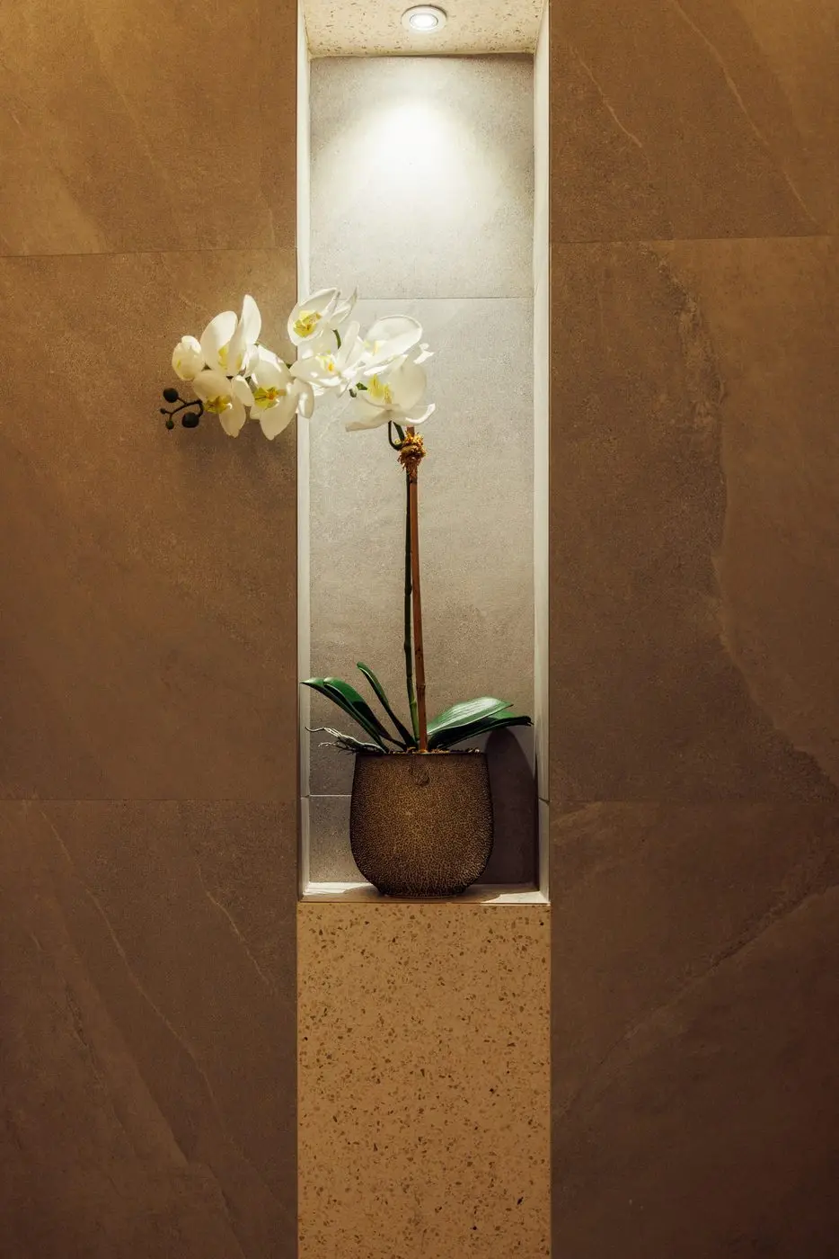 Orchid in a lit stone niche in the treatment room at Lavana Spa DIFC