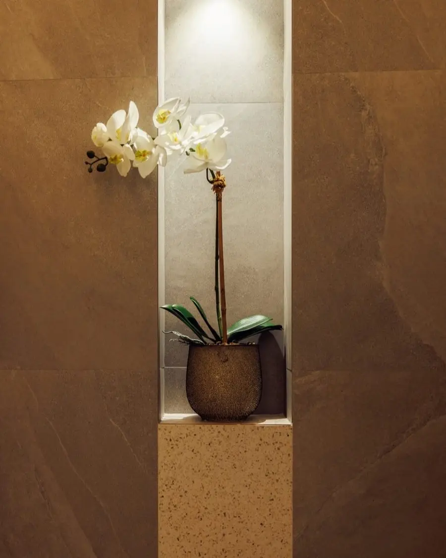 A white orchid in a lit stone niche at Lavana Spa DIFC